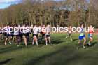 Junior mens 2025 Northern Cross Country Champs, Tatton Park, Knutsford, Cheshire. Photo: David T. Hewitson/Sports for All Pics
